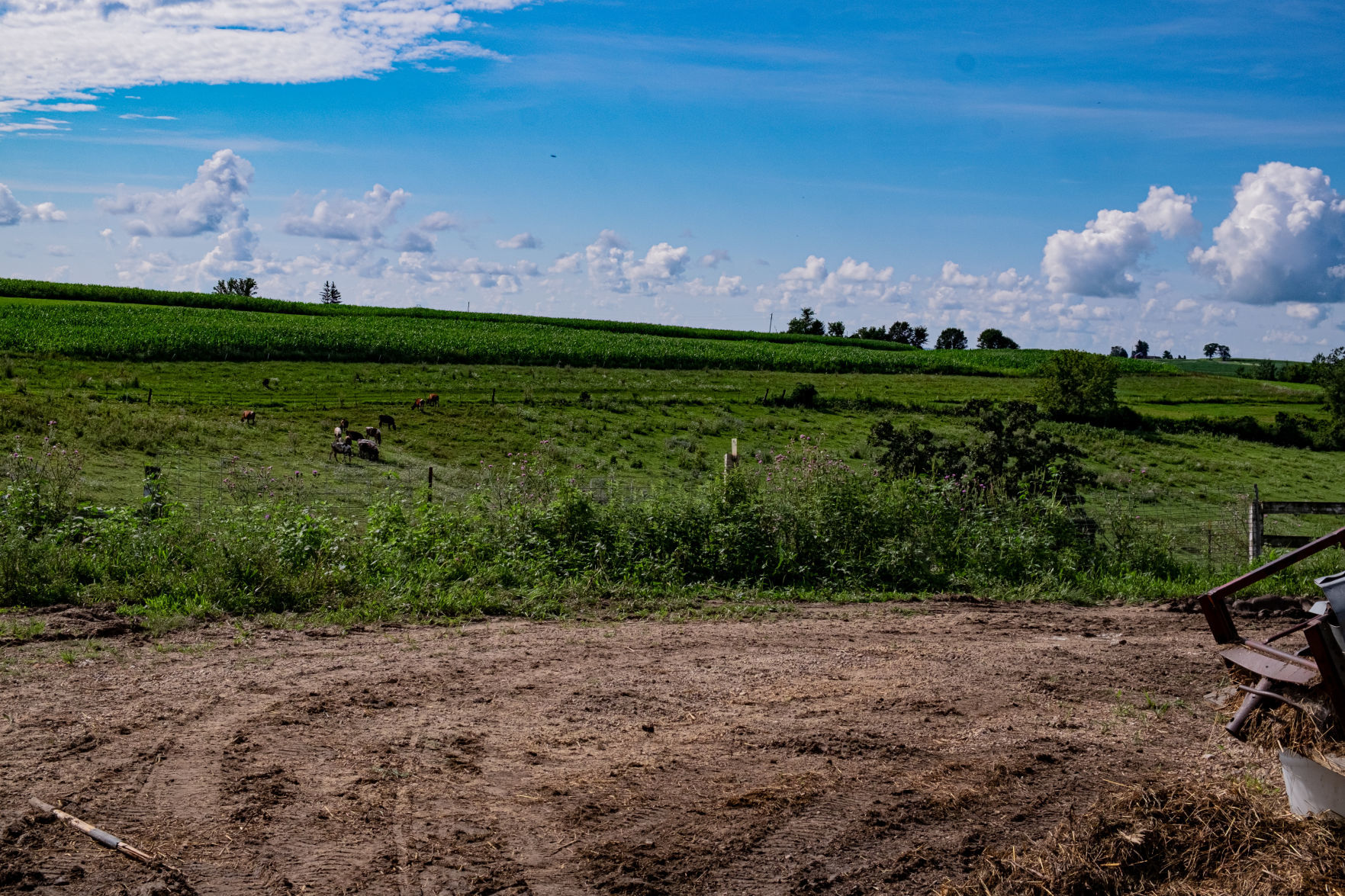 Jewel Family Farm